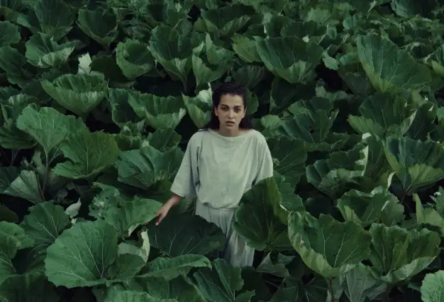 CZECH FILM / Spring 2026