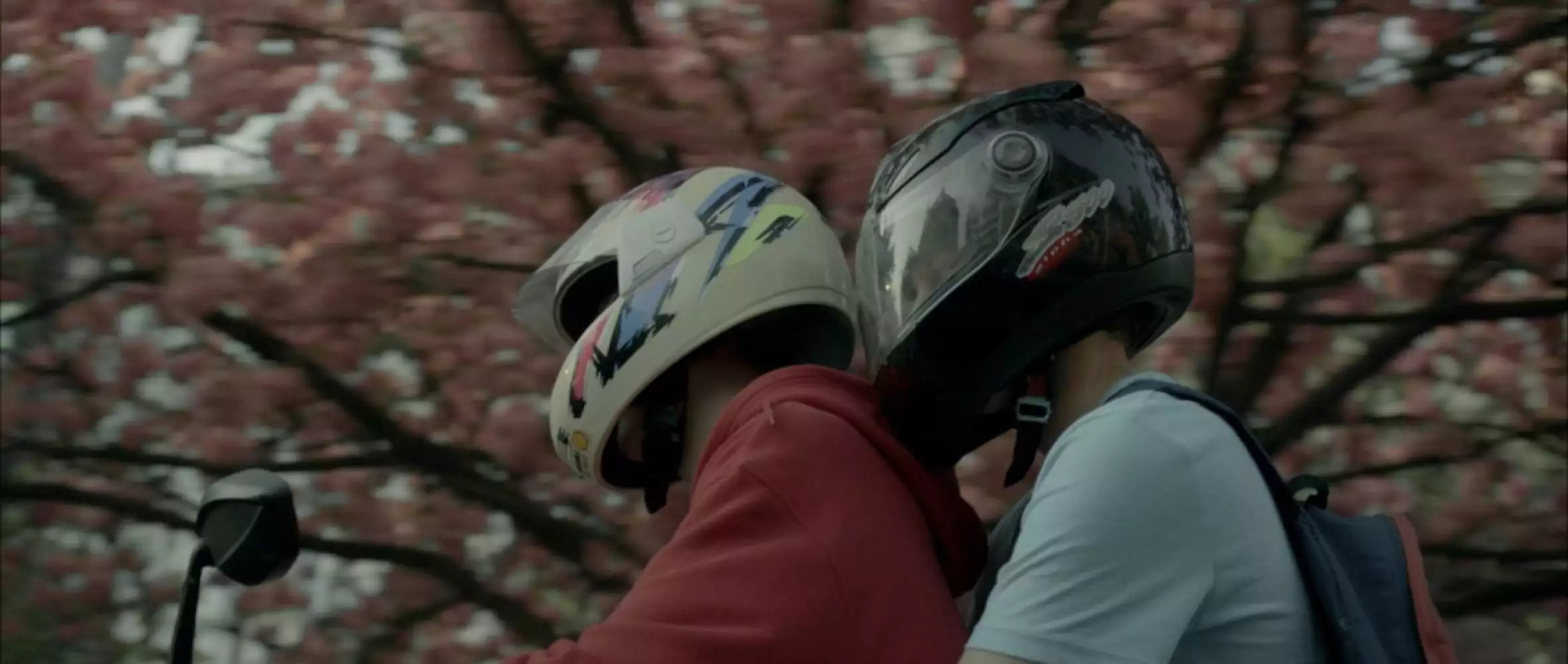 Playing will compete at San Sebastian IFF