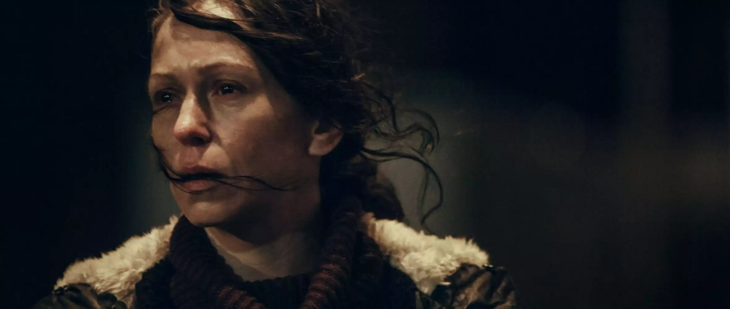 Nikdy nejsme sami a TV minisérie Pustina na MFF Toronto