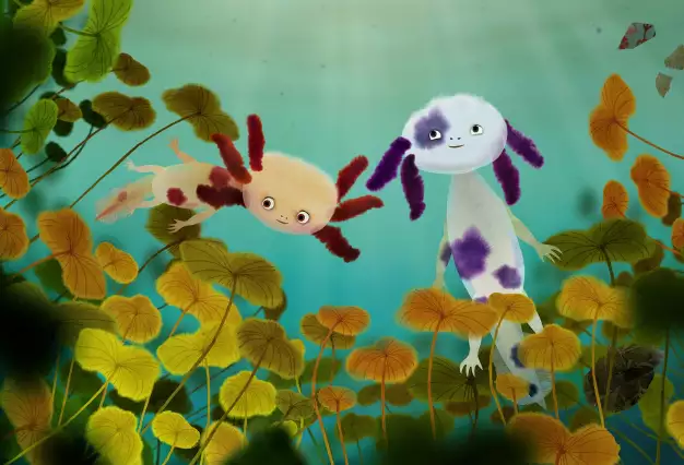 The Axolotls