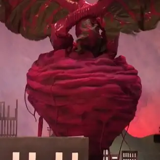 The Beetroot