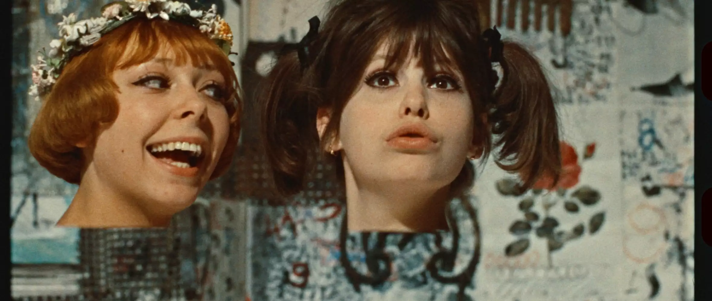 Digitally restored classics Daisies & The Joke back on the big screen