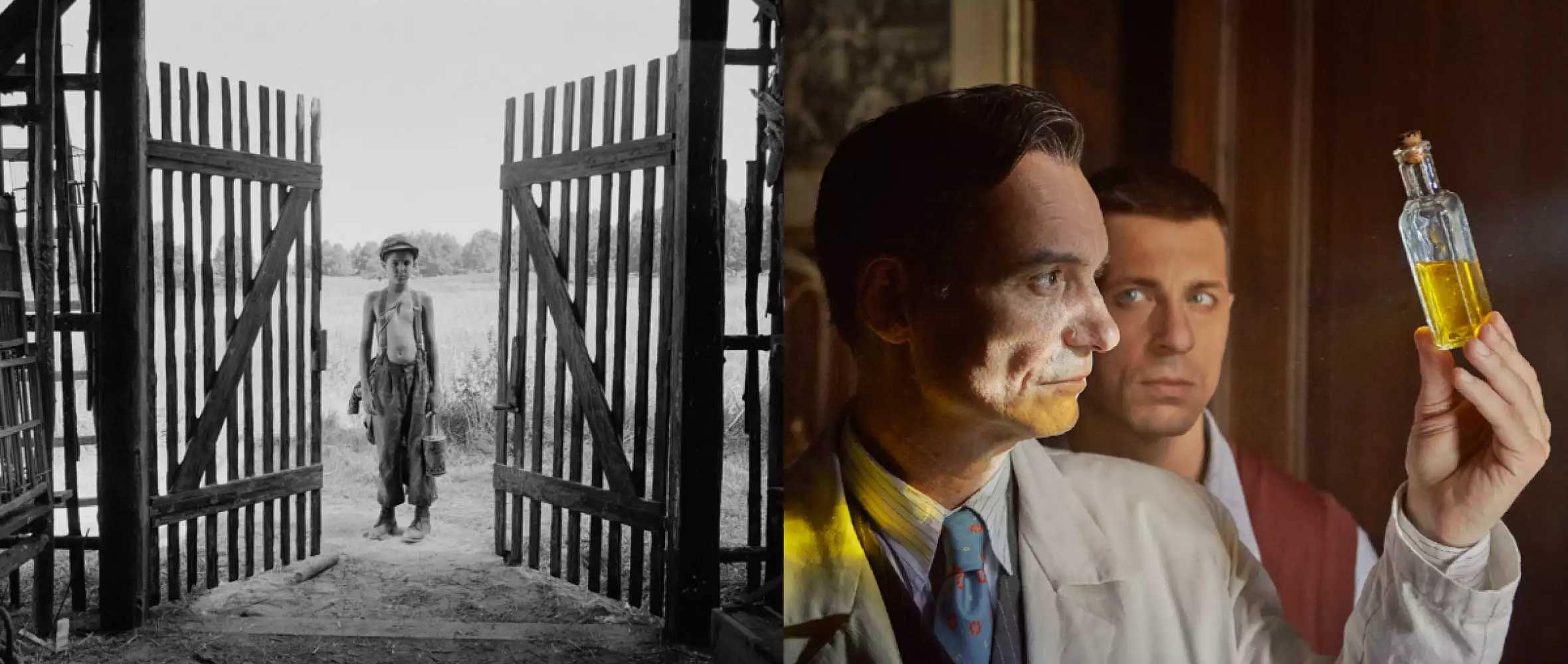 The Painted Bird and Charlatan nominated for the European Film Awards