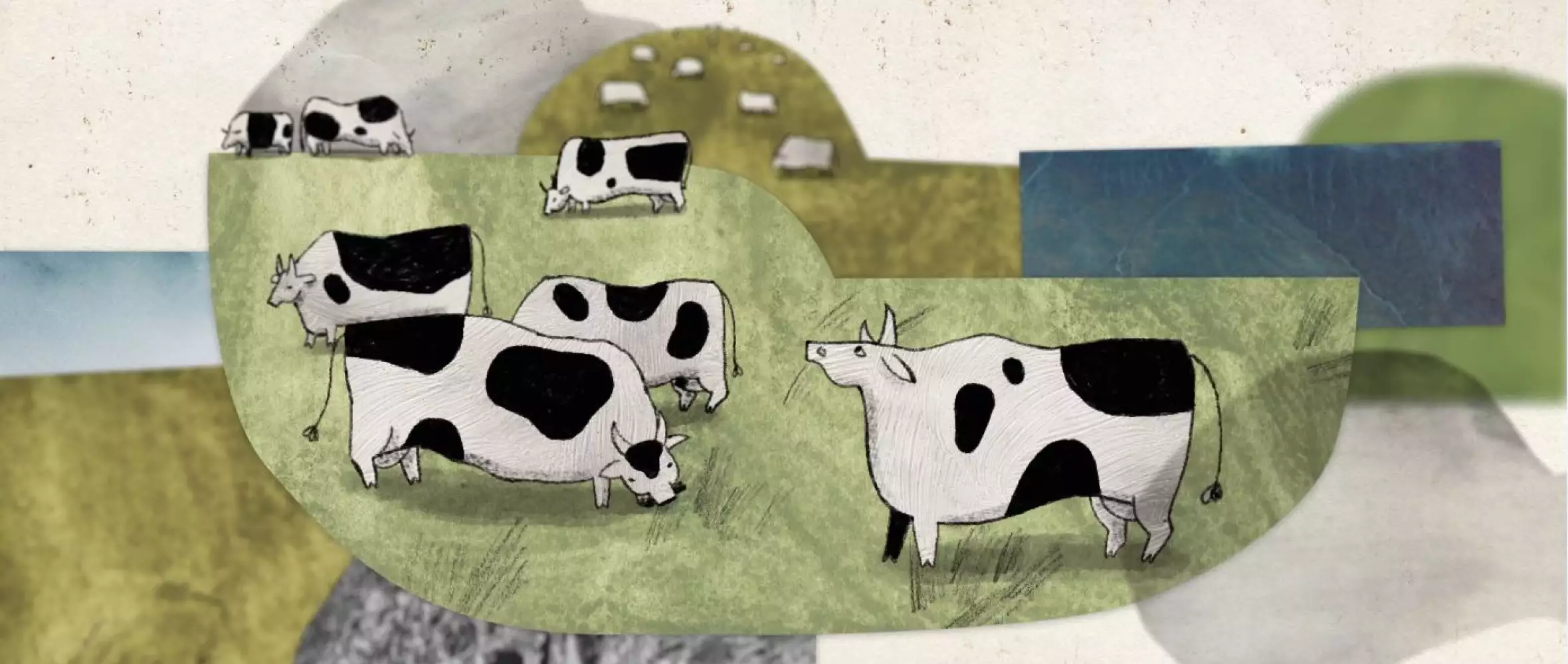 Czech short About a Cow to premiere in Locarno