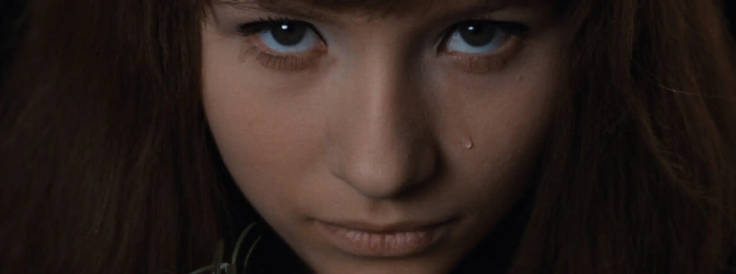 CZECH FILM / Fall 2026