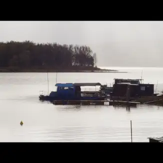 The Ferryman