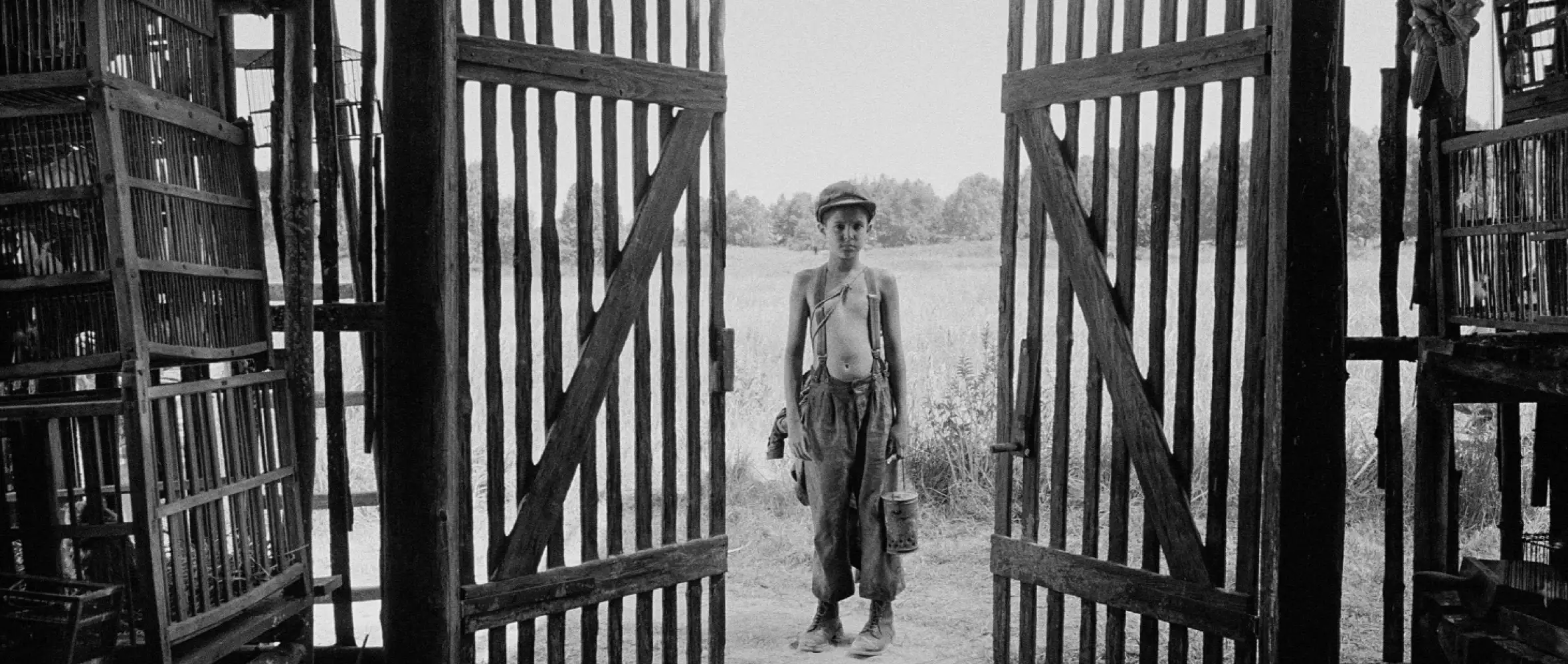 CZECH FILM / Fall 2019