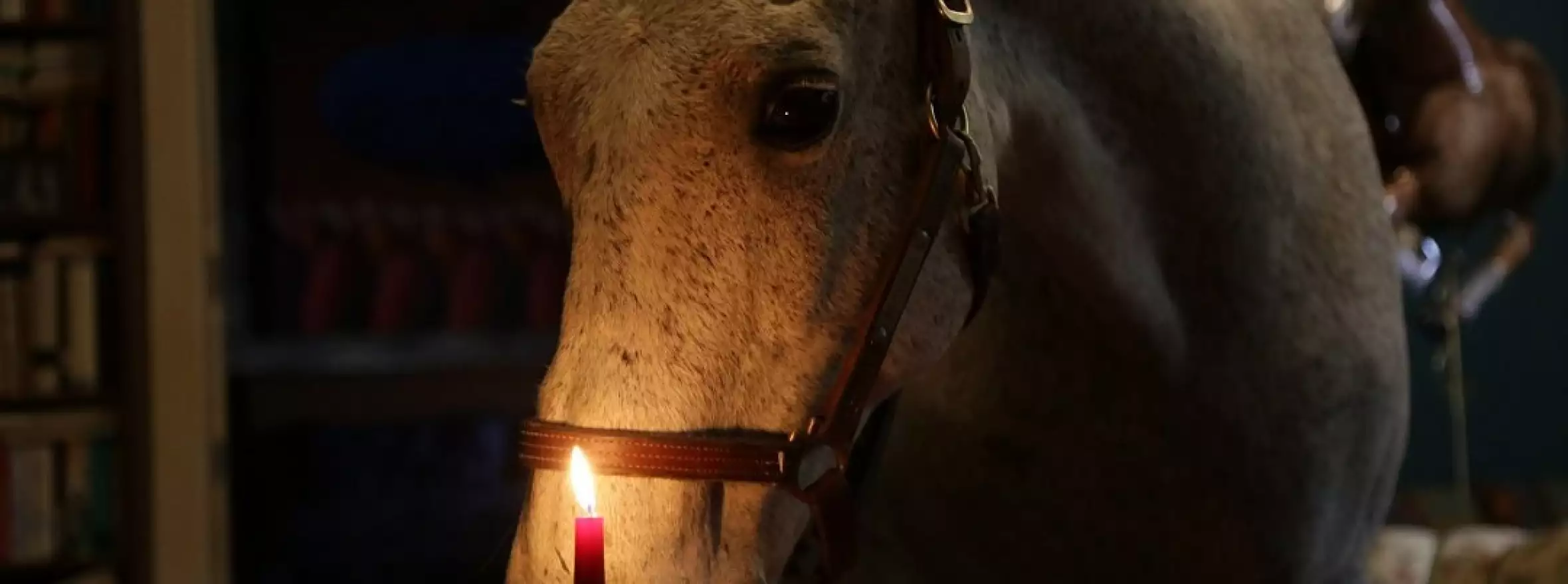 The Horse