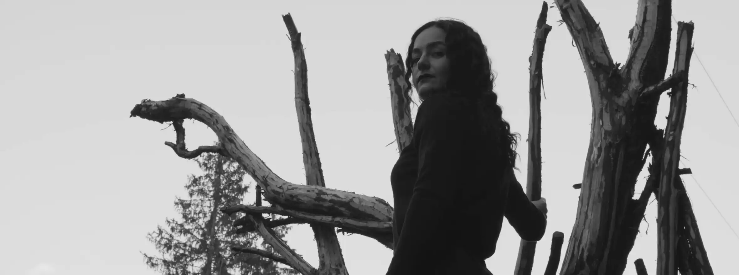 Jadwiga the Witch