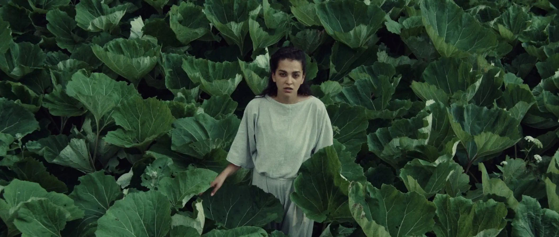 CZECH FILM / Spring 2026
