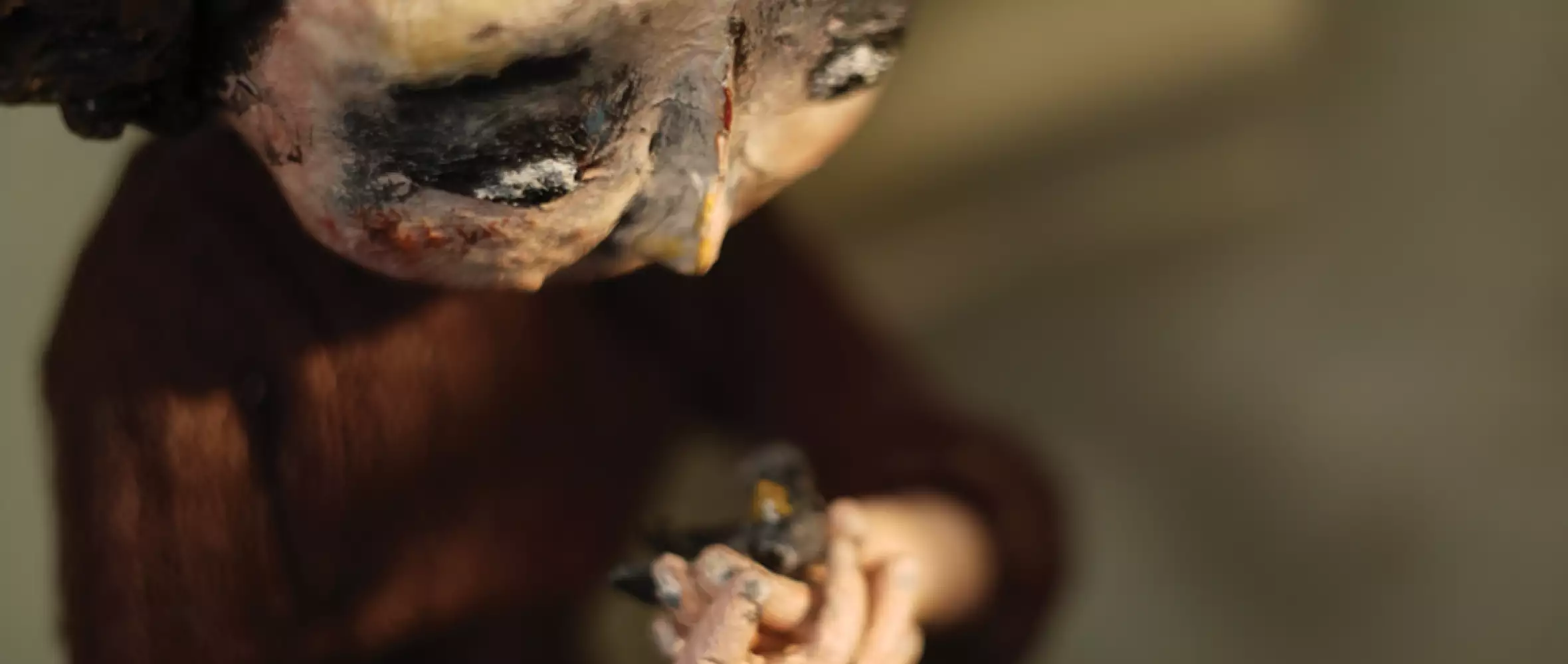 Český film se vrací na Oscary, nominaci získala Dcera