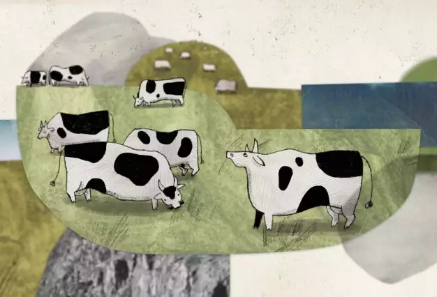 Czech short About a Cow to premiere in Locarno